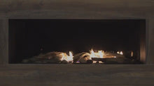 Load and play video in Gallery viewer, Savannah Genesis Infinity NG Gas Fireplaces
