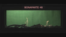 Load and play video in Gallery viewer, Savannah Bonaparte 48&quot; See-Thru Linear NG Gas Fireplaces
