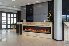 Load image into Gallery viewer, Dimplex Opti-Myst® Pro 1000 Built-In Electric Cassette
