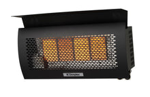 Load image into Gallery viewer, Dimplex Outdoor Wall-mounted Natural Gas Infrared Heater
